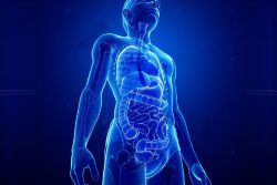 Massothérapie et Système digestif instable