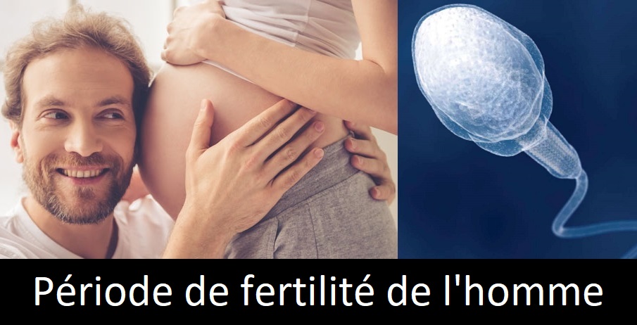 Massage femme enceinte : Période de fécondité chez l'homme